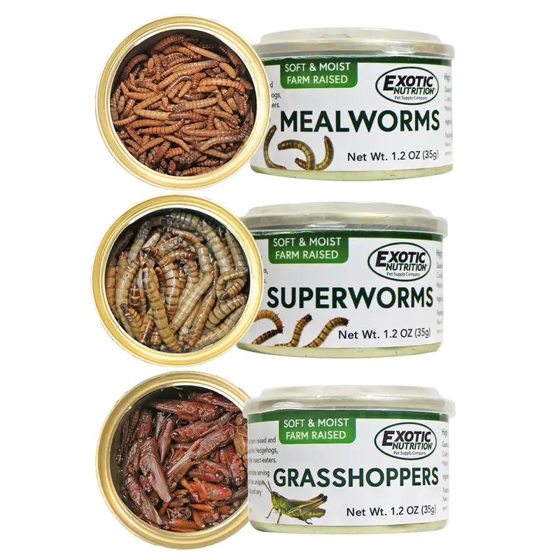 Assorted Canned Insects For Protein-Rich Feeding 1