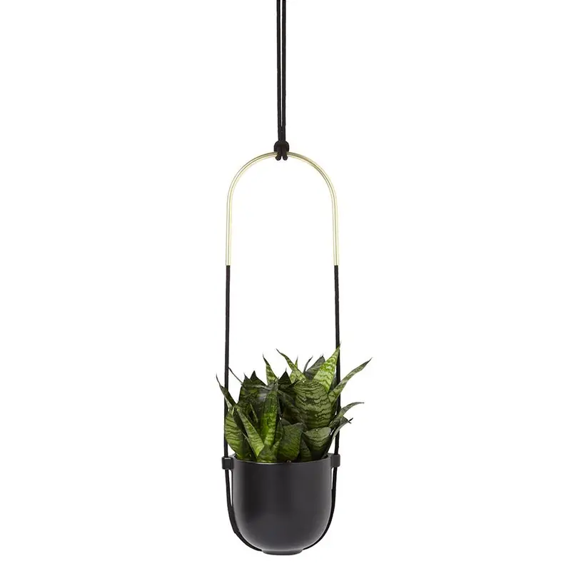 Bolo Style Hanging Planter For Indoor Greenery 1