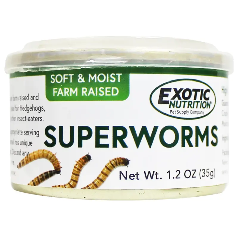 Canned Superworms – Nutritious Insect Treat For Exotics 1