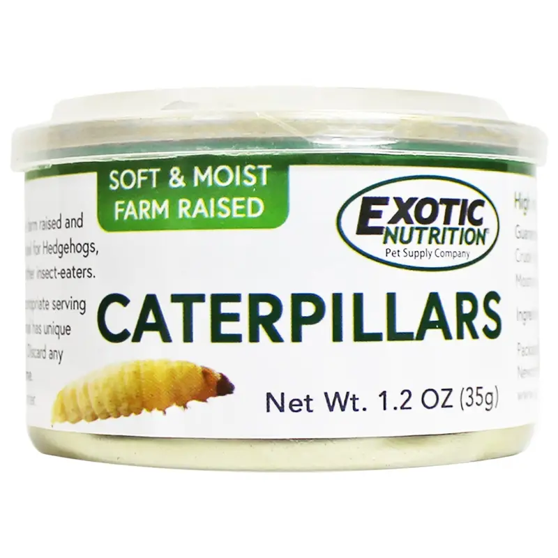 Caterpillars In Brine – Nutritious Canned Entomological Treat For Specialty Pets 1