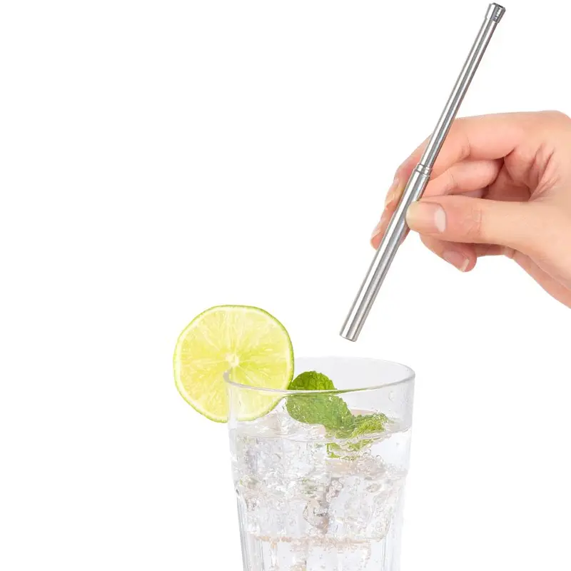 Compact Travel Straw Set With Carry Case 1