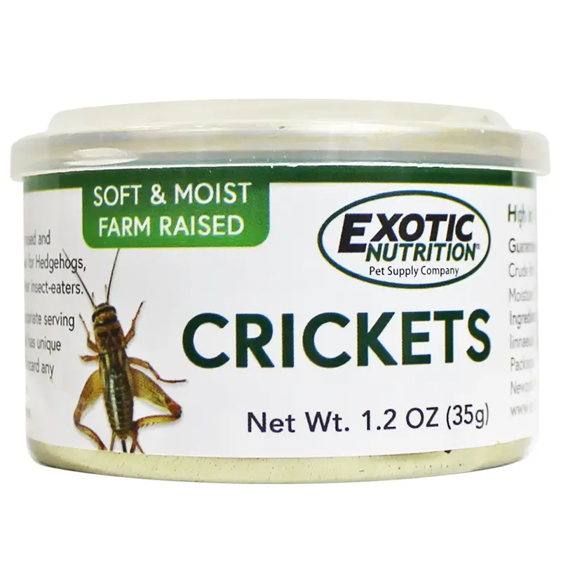 Crickets In Brine – Convenient Canned Insect Food For Lizards And Amphibians 1