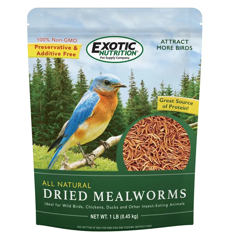 Dried Mealworms – 1 Lb Bulk Pack 1