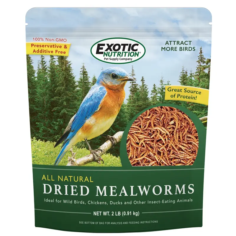 Dried Mealworms – 2-Pound Value Pack 1