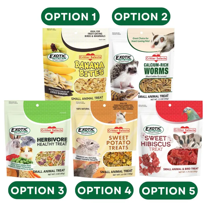 Expired Promotional Offer: Free Treat Incentive (Ended February 4, 2026) 1