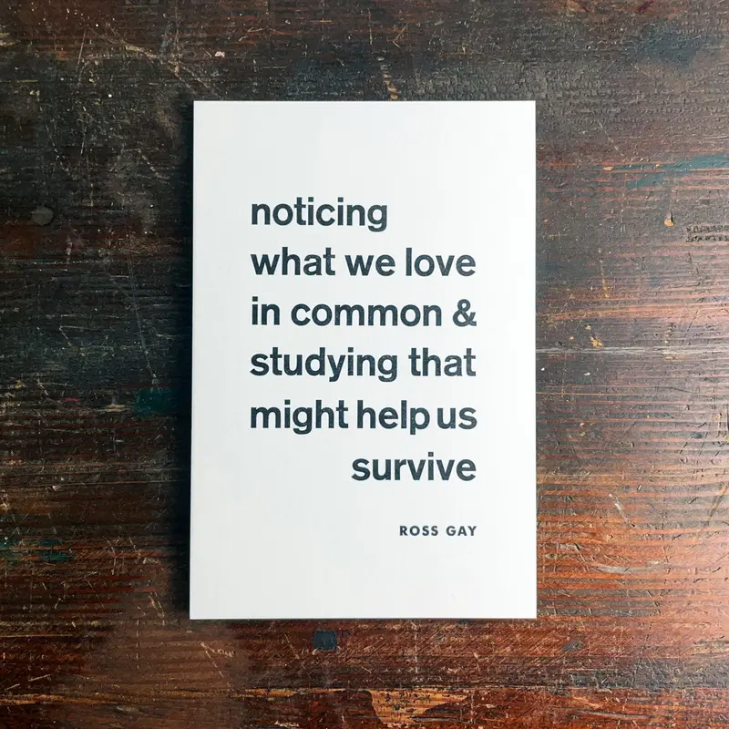 Noticing Greeting Card 1