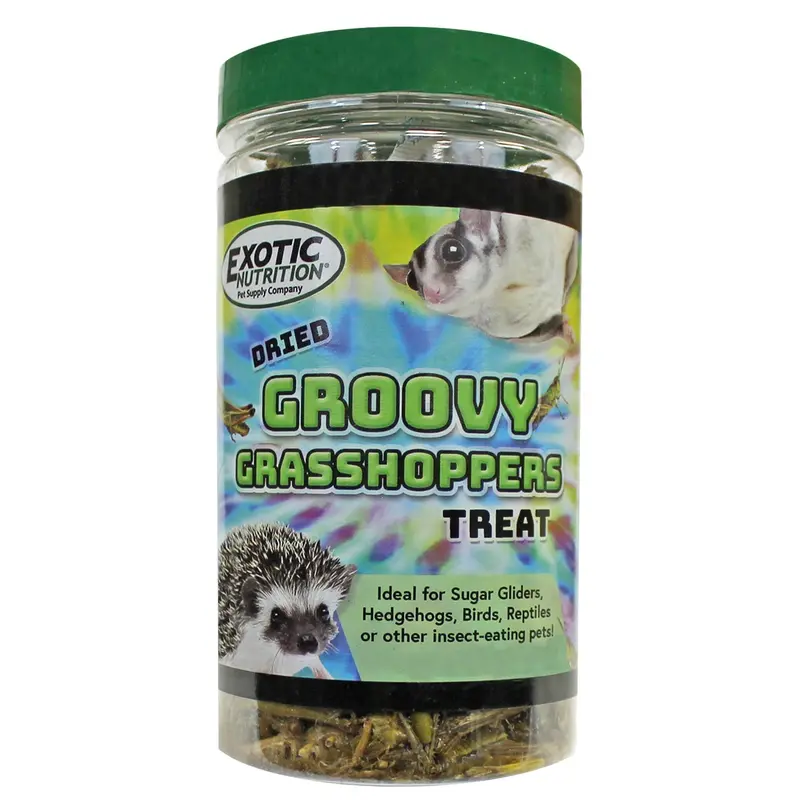 Roasted Grasshopper Protein Snacks 1
