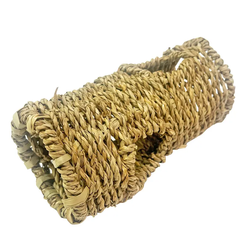Seagrass Tunnel For Small Animal Exploration 1