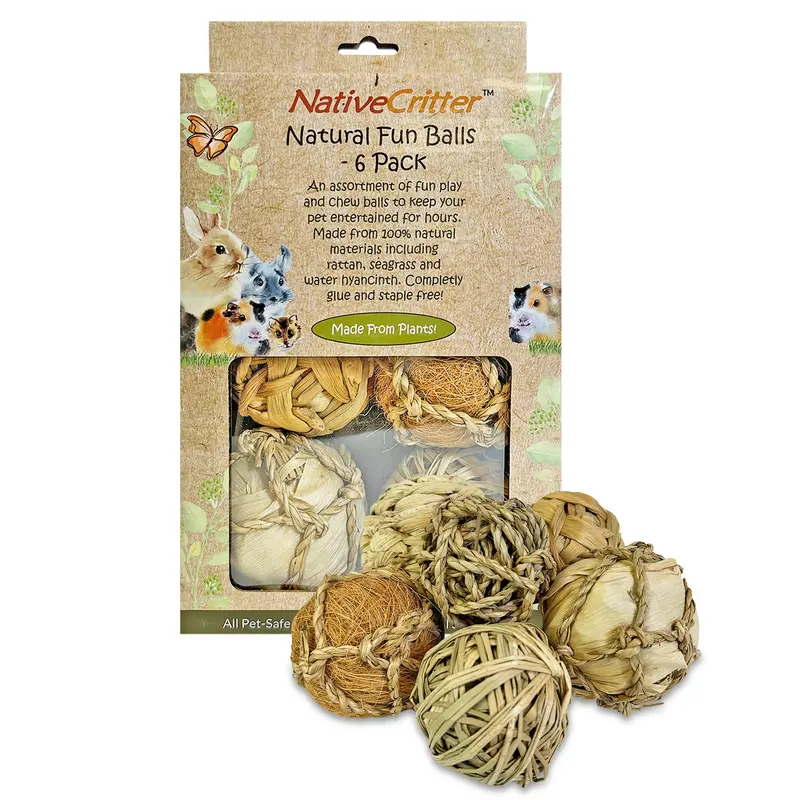 Set Of 6 Natural Fun Balls For Small Mammals 1